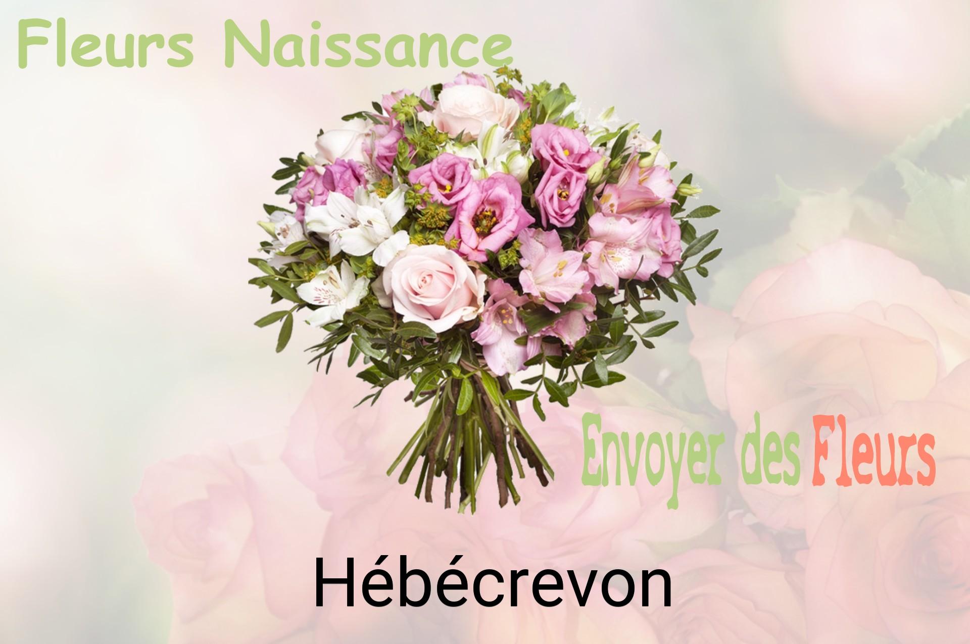 Bouquet de fleurs de naissance livré à Hébécrevon